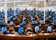 Holding Perkebunan Nusantara Dukung Penciptaan Lapangan Kerja, PTPN I Serap 15–20 Ribu Pekerja di Pabrik Tembakau