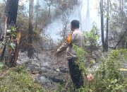 Karhutla Tawalian Mamasa Bakar 2 Hektare Lahan, TNI-Polri dan Damkar Turun Tangan Api Dicegah Mendekati Permukiman