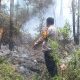 Karhutla Tawalian Mamasa Bakar 2 Hektare Lahan, TNI-Polri dan Damkar Turun Tangan Api Dicegah Mendekati Permukiman