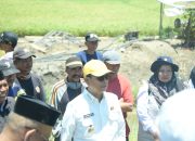 Bupati Soppeng Tinjau Normalisasi Irigasi, 85 Hektare Sawah Diselamatkan dari Ancaman Puso