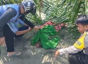Respon Cepat Laporan Warga, Polsek Sampaga Polresta Mamuju Evakuasi Mayat Tanpa Identitas di Pantai Dato