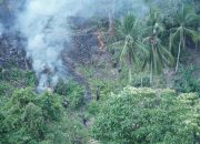 Kebun Warga di Bukit Kalubibing Terbakar, Polda Sulbar Gerak Cepat Padamkan Amukan Sijago Merah