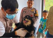 Peringati World Rabies Day 2026, DTPHP Sulbar Gelar Vaksinasi Gratis HPR