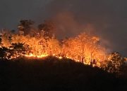 Gabungan Polresta Mamuju Bersama Brimob dan Warga Berhasil Padamkan Karhutla di Bukit Tambayako