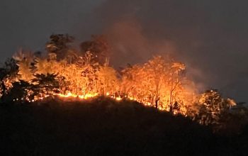Gabungan Polresta Mamuju Bersama Brimob dan Warga Berhasil Padamkan Karhutla di Bukit Tambayako