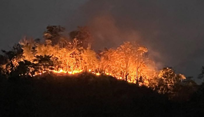 Gabungan Polresta Mamuju Bersama Brimob dan Warga Berhasil Padamkan Karhutla di Bukit Tambayako