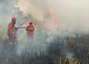 Asap Karhutla Meluas, DKPPKB Sulbar Imbau Warga Pakai Masker dan Kurangi Aktivitas Luar