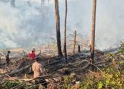 Udara Mamuju Berasap Beberapa Hari Terakhir, BPBD Sulbar Ingatkan Bahaya Partikulat Bagi Anak, Lansia, Ibu Hamil