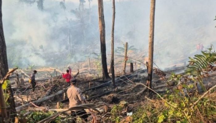 Udara Mamuju Berasap Beberapa Hari Terakhir, BPBD Sulbar Ingatkan Bahaya Partikulat Bagi Anak, Lansia, Ibu Hamil