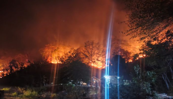 Tim IV Siaga Darurat Karhutla dan Kekeringan Terima Laporan Kebakaran Lahan Seluas ±10 Hektare di Ulumanda Majene
