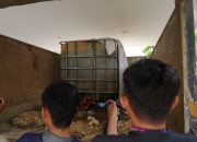 Polda Sulbar Gagalkan Pengangkutan 3.5 Ton BBM Subsidi ke Pasangkayu dan Polman