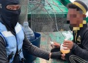 Sat Polairud Polresta Mamuju Amankan Nelayan Diduga Tangkap Ikan Cara Bius dan Pakai Narkoba di Perairan Bala balakang
