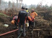 TRC BPBD Sulbar Bersama Tim Gabungan Terus Lakukan Pemadaman Karhutla di Desa Buana Sakti Tommo